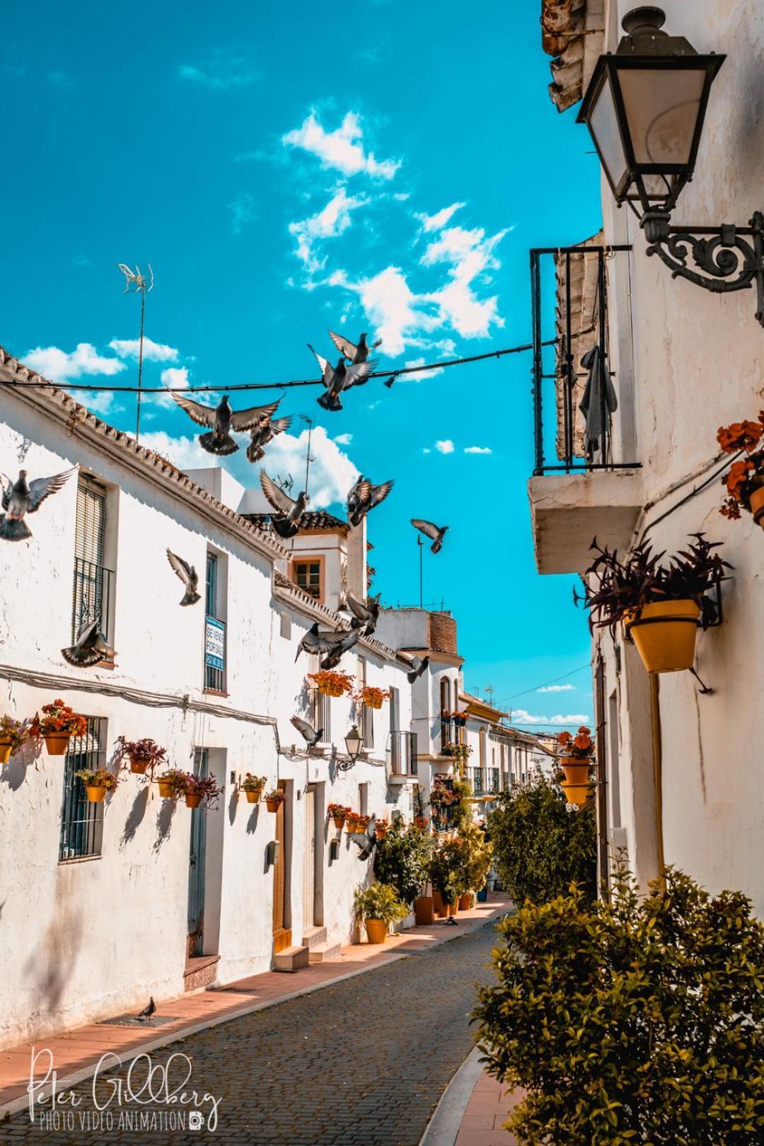 Casa Catalina Beach And Golf Apartment Estepona Bagian luar foto